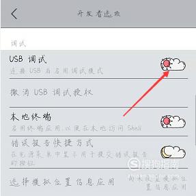 vivo手机怎么开启USB