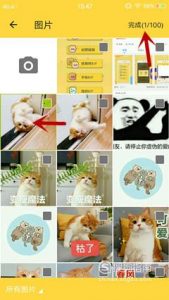 有什么软件可以制作表情包？