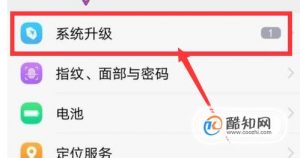 vivo手机闪屏怎么解决