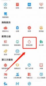 支付宝帮宝贝战胜先心病项目在哪里捐赠爱心