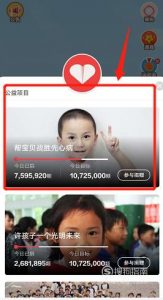支付宝帮宝贝战胜先心病项目在哪里捐赠爱心