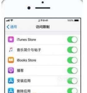 家长控制儿童使用苹果11的操作方法