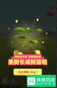 拼多多果园怎么种水果树？