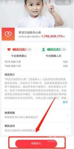 支付宝帮宝贝战胜先心病项目在哪里捐赠爱心