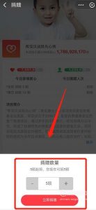 支付宝帮宝贝战胜先心病项目在哪里捐赠爱心