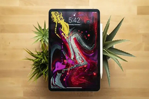 青岛苹果iPad Pro 12.9英寸 2021全新机回收