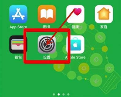 iphone如何接入浏览器
