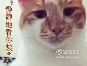 中秋节怎么发朋友圈？