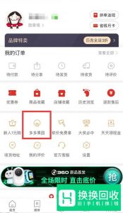 拼多多果园怎么种水果树？