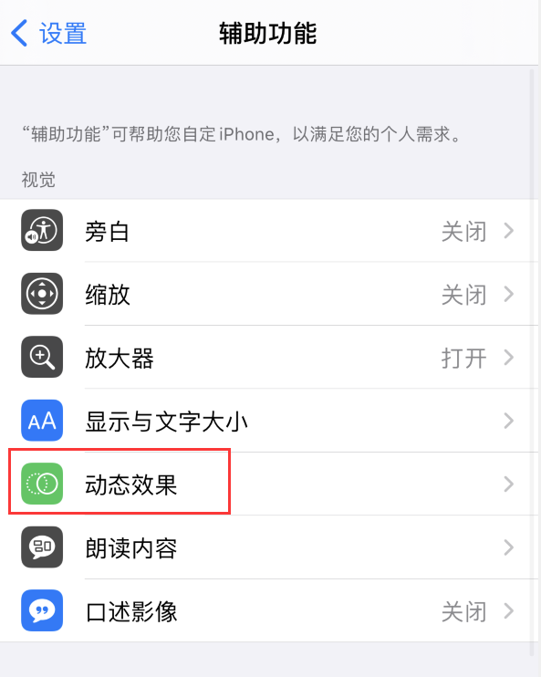 iPhone 12设置退出应用时显示动态效果
