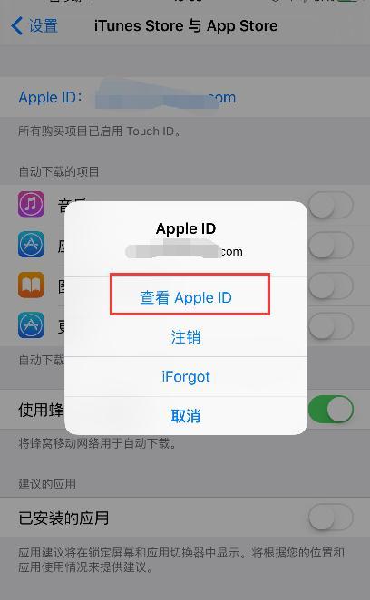 苹果手机app store不小心修改成全英文怎么恢复成中文模式？