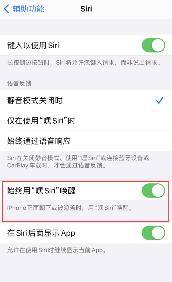 iPhone屏幕挡住时无法唤醒Siri解决方法