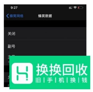 iPhone 11的双卡双待功能如何设置？