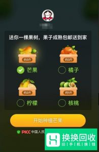拼多多果园怎么种水果树？