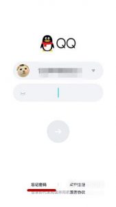 怎么查看自己的qq密码