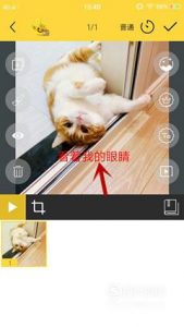 有什么软件可以制作表情包？